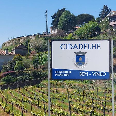 Casa Cecí Douro Vila Cidadelhe  Exterior foto