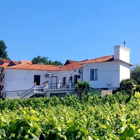 Casa Cecí Douro Vila Cidadelhe  Exterior foto