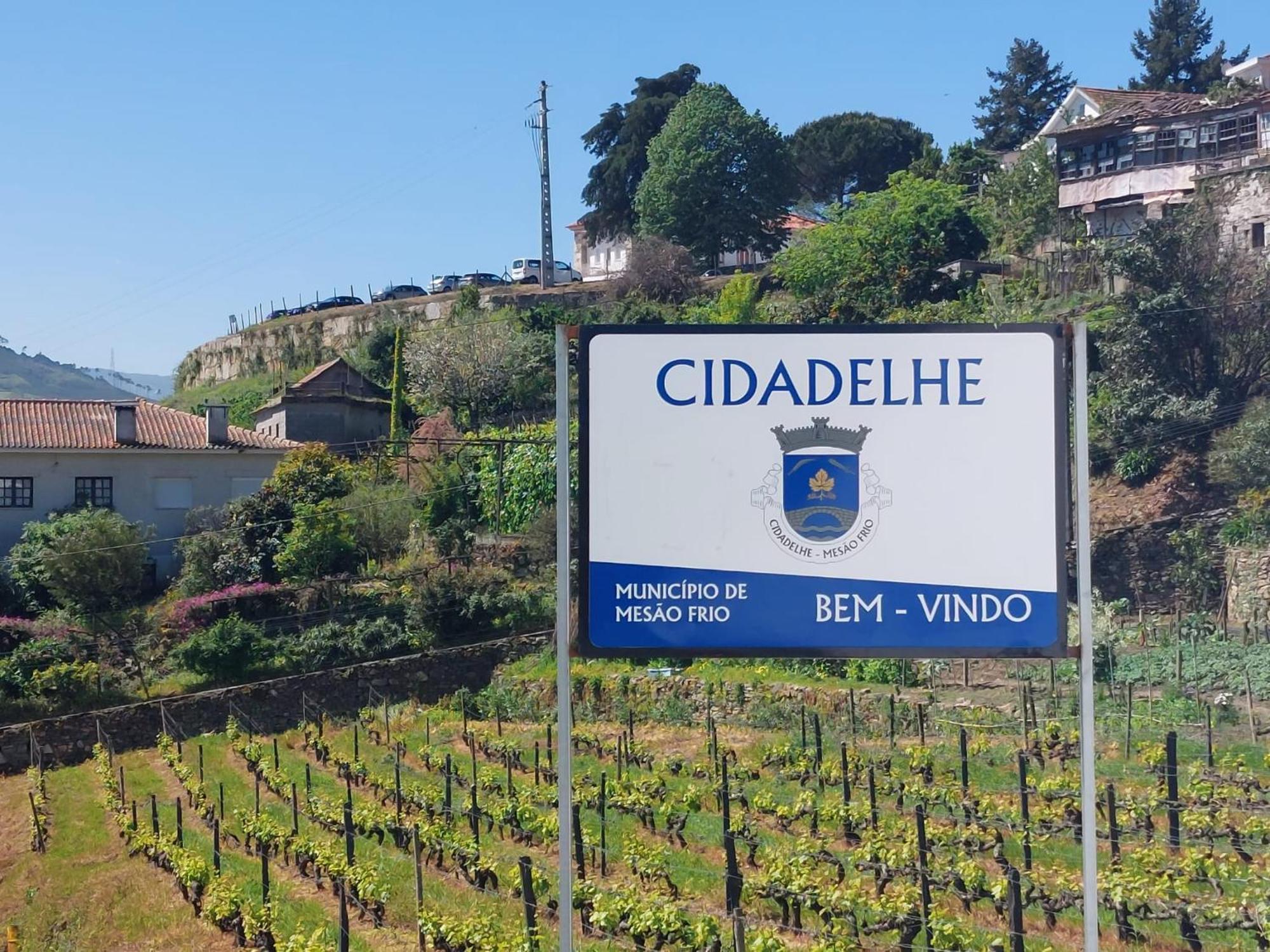 Casa Cecí Douro Vila Cidadelhe  Exterior foto