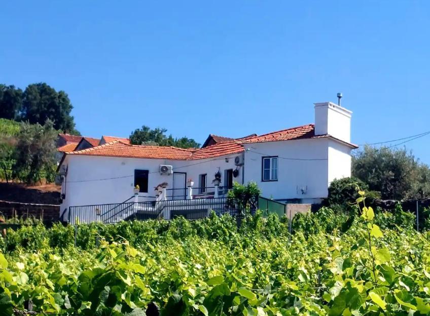 Casa Cecí Douro Vila Cidadelhe  Exterior foto